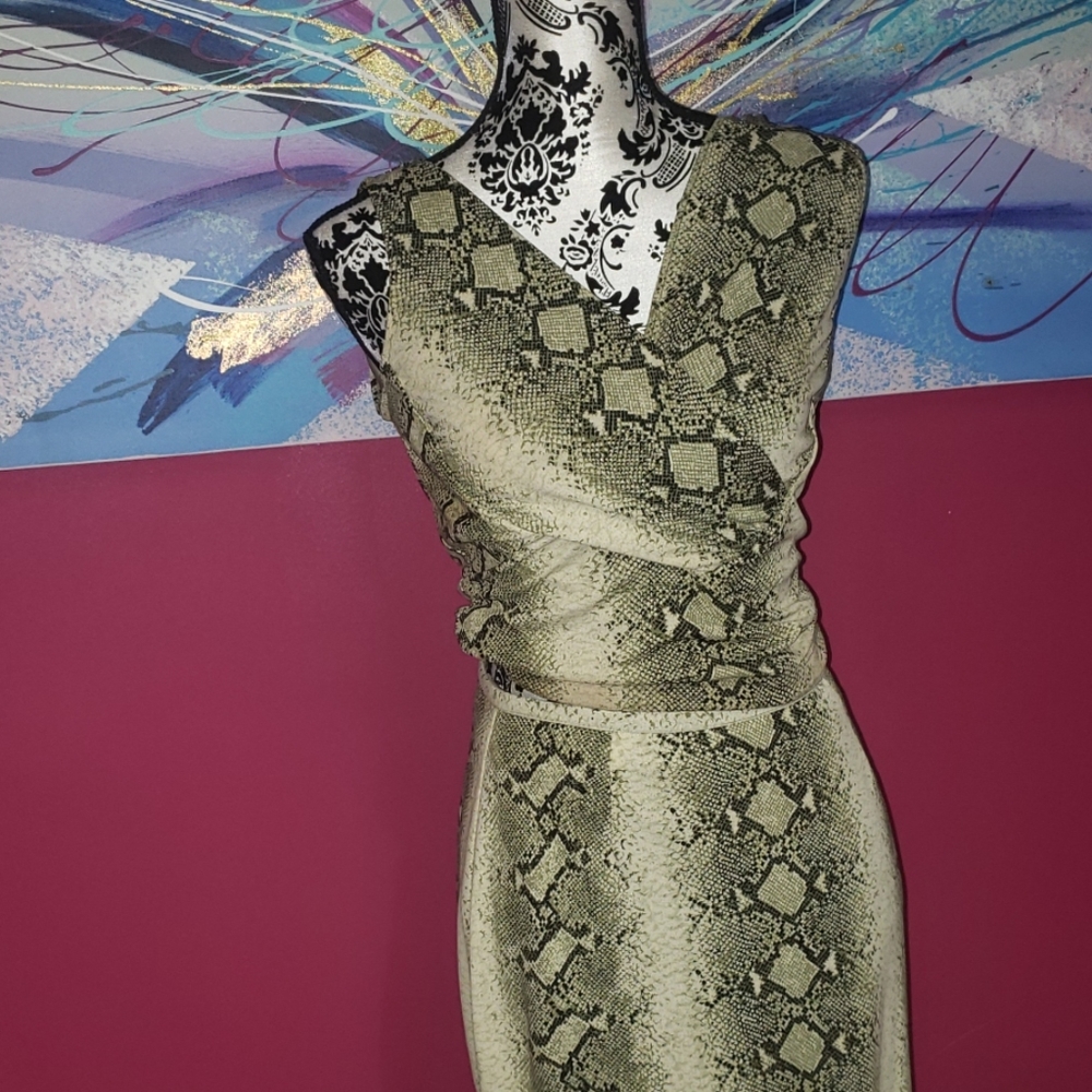 Cache snake/python print skirt and top set